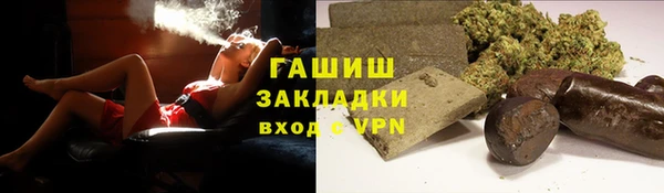 индика Балахна